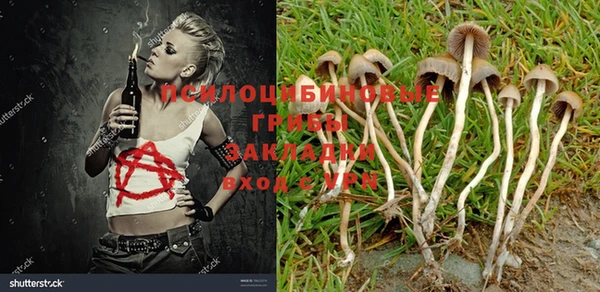 кокс Балабаново